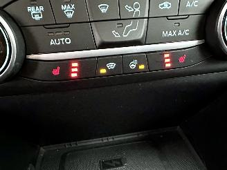 Ford Fiesta 1.0T EcoBoost Hybrid ST-Line - 2x pano - nap - stuur + stoelverw - front + line assist - cam - keyless picture 17