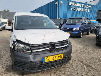Volkswagen Caddy Volkswagen Caddy Maxi 2.0 TDI DSG Trendline 5p + ROLSTOEL picture 15