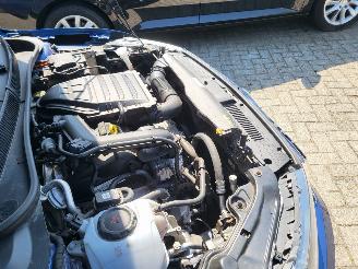 Volkswagen Polo AUTOM  5drs 1.0 116 pk turbo TSI Highline rijdbaar picture 24