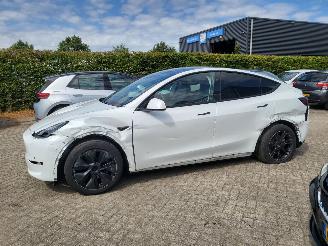 Tesla  Tesla MODEL Y RWD 58 kWh range 455km nwprijs € 45000 picture 16