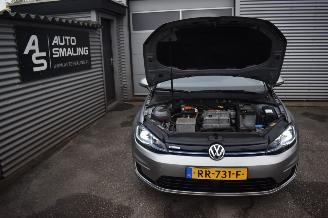 Volkswagen e-Golf NAVI/CAMERA/XENON picture 12