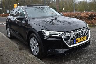Audi E-tron 55 Quattro Edition 95Kwh 3 FASE 408Pk *Navi/Clima/Stoelverwarming/Panorama picture 2