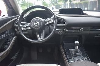 Mazda CX-30 2.0 E-skyactive-X M Hybrid AWD Luxury 179Pk *Navi/Clima/Leder picture 7