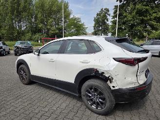 Mazda CX-30 BENZINE-HYBR / CAMERA / NAVI / HEAD UPP picture 3