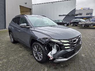 Hyundai Tucson 118KW HYBR / PREMIUM / HED UPP / LEER / 360gr CAMERA picture 13