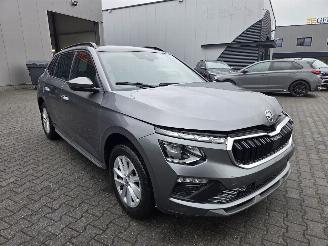 Avarii autoturisme Skoda Kamiq AUTOMAAT / PANO / NAVI / CAMERA / STOELVERW 2025/3