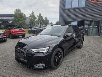 Auto incidentate Audi E-tron 55 quattro 300kw  S-Line Black Edition 95 kWh 2022/12