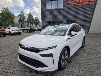 Skoda Enyaq 210KW - 85  / SPORTLINE / PANO picture 19