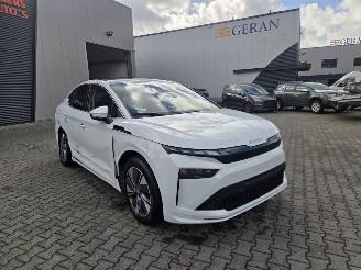 Skoda Enyaq 210KW - 85  / SPORTLINE / PANO picture 18
