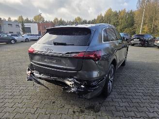 Audi Q8 E-tron S-LINE  Quattro 250kw / 95 Ah / Luchtvering picture 7