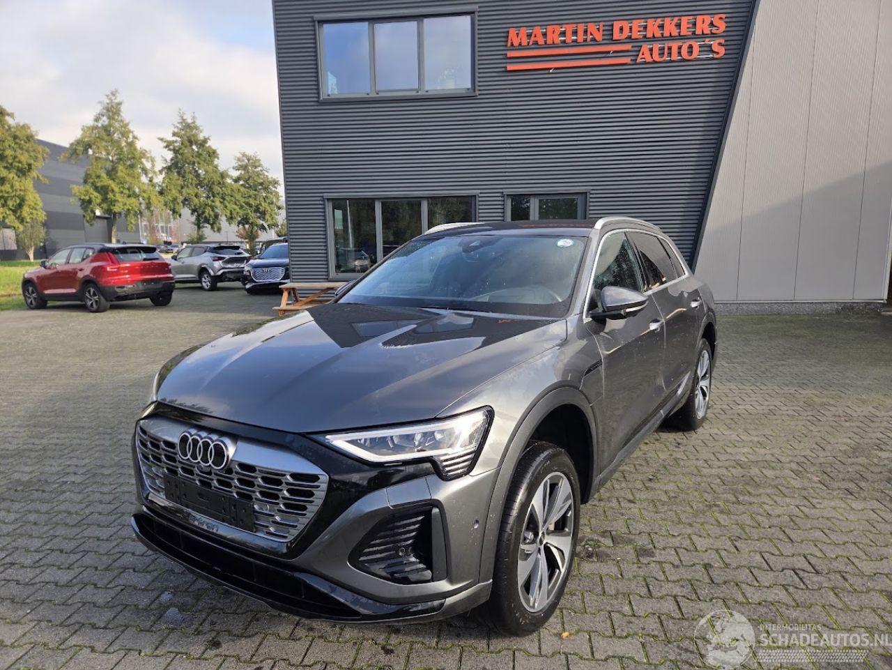 Audi Q8 E-tron S-LINE  Quattro 250kw / 95 Ah / Luchtvering
