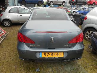 Peugeot 307 Benzine 2.0 Cabrio picture 6