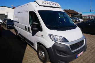 Fiat Ducato L2H2 VRIES picture 2