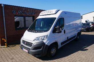 Ocazii autoturisme Fiat Ducato L2H2 VRIES 2018/3
