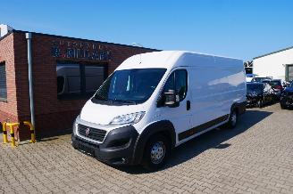  Fiat Ducato MAXI L5 H2 2019/9