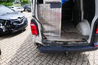 Volkswagen Transporter T6 4-MOTION picture 6