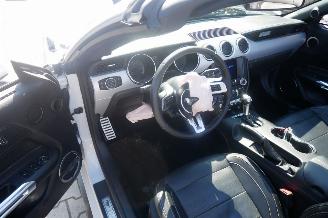 Ford Mustang GT PERFORMANCE picture 14