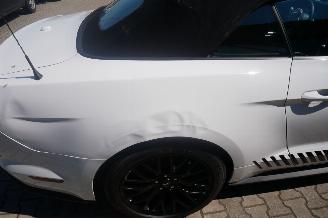 Ford Mustang GT PERFORMANCE picture 5