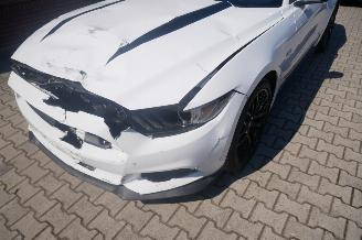 Ford Mustang GT PERFORMANCE picture 8