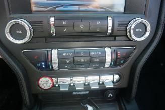 Ford Mustang GT PERFORMANCE picture 18