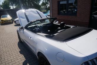 Ford Mustang GT PERFORMANCE picture 11
