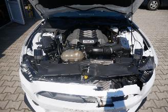 Ford Mustang GT PERFORMANCE picture 10