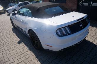 Ford Mustang GT PERFORMANCE picture 4
