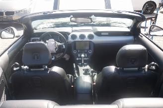 Ford Mustang GT PERFORMANCE picture 12