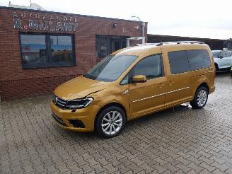  Volkswagen Caddy maxi DSG 4-MOTION LEER LED 2019/6