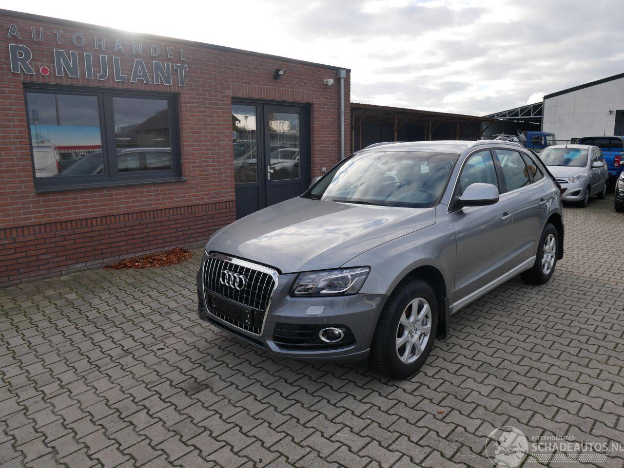 Audi Q5 2.0 TDI QUATTRO LEER BI XENON