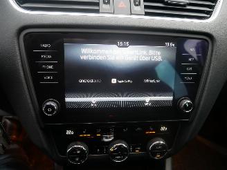Skoda Octavia RS 4x4 PANORAMADAK LED ALCANTARA DSG picture 16