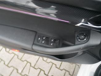 Skoda Octavia RS 4x4 PANORAMADAK LED ALCANTARA DSG picture 22