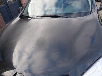 Renault Mégane BOSE EDITION picture 9