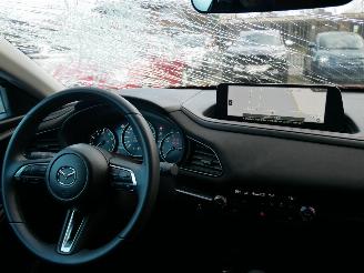 Mazda CX-30 NAGISA LED 2WD picture 12