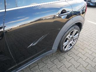 Mini Countryman ALL 4 NORTHWOOD PANORAMADAK LEER LED picture 9