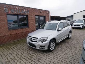  Mercedes Glk-klasse 4 MATIC LEER  BI-XENON 2010/7
