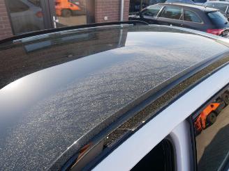 Skoda Kamiq MONTE CARLO PANORAMADAK LED picture 12