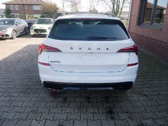 Skoda Kamiq MONTE CARLO PANORAMADAK LED picture 6