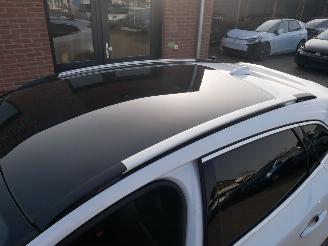 Volvo V-40 CROSS COUNTRY OCEAN RACE PANORAMADAK LEER BI-XENON picture 13