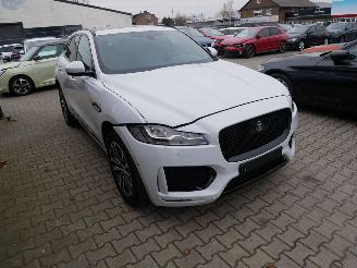 Jaguar F-Pace Chequered Flag AWD Merida Panoramadak Leer Led picture 2