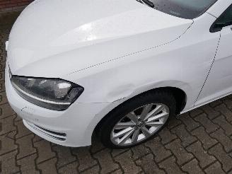 Volkswagen Golf VARIANT HIGHLINE BMT BI-XENON picture 7