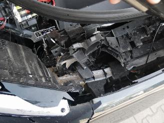 Audi Q6 Q6 e-TRON PERFORMANCE S-LINE MATRIX LED LEER AHK PANORAMA picture 13