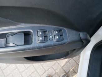 Fiat Doblo 5 PERSOONS MOTORSCHADE picture 9