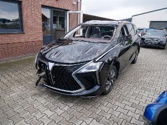  DFSK  FORTHING 4 U-TOUR LEER LED PANORAMADAK 7 PERSOONS. 2024/5