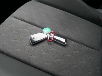 Cupra Terramar VZ HUD ALCANTARA ACC LED  PLUG-IN picture 14