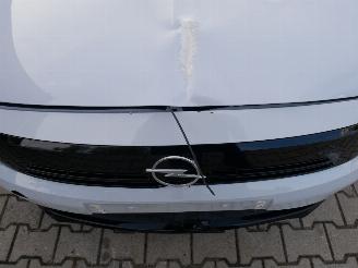 Opel Corsa F EDITION AUTOMAAT LED picture 13