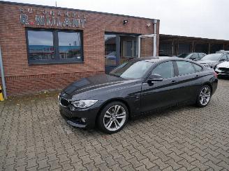 škoda osobní automobily BMW 4-serie 420i GRAN COUPE XENON 2015/1