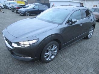 Mazda CX-30 2.0 E-SKYACTIV-X 186pk AWD Aut. MildHybrid  Bose-Sound Climatronic Leer Navi Schuifdak Stoel/Stuur-Verwarming picture 2