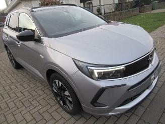 uszkodzony samochody osobowe Opel Grandland GrandLand X 1.2B 130pk AUT. INNOVATION  Climatronic HalfLeer Navi Camera Stoel/StuurVerwarming 2023/4