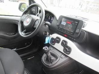 Fiat Panda PANDINA (cross) 1.0 Hybrid  Airco CruiseControl Line Assist Parktronic Navi-Android of Carplay picture 20